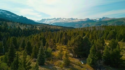 Scenic view of a mountainous landscape with dense pine forests under a clear sky.