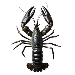 a crayfish on Isolated transparent background png. generated with AI