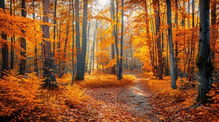 Fototapeta premium Vibrant Autumn Forest Path with Golden Leaves