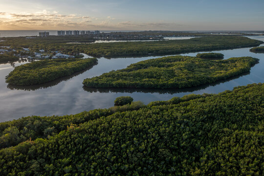 Mangroves on Jack Island, foreground, near Fort Pierce, Florida