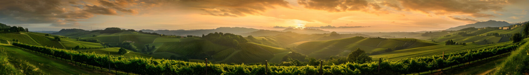 Naklejka premium Panoramic photo of an incredible vineyard landscape in sunny Prosecco