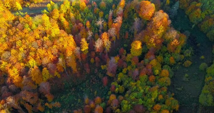 Aerial nature autumn landscape flight over picturesque hills mountains forests meadows