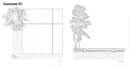 Architectural Drawings, Minimal style cad tree line drawing, Side view, set of section concrete pavement outline for landscape design drawing. Vector illustration in seperate element