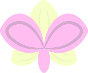 flower type orchid, orchidaceae