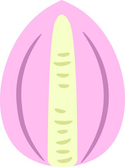 flower type painter's palette, Anthurium