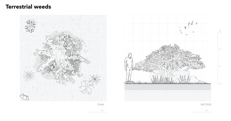 Fototapeta premium Architectural Drawings, Minimal style cad tree line drawing, Side view, set of section wetland forest outline for landscape design drawing. Vector illustration in seperate element