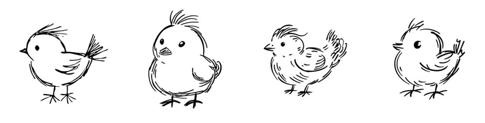 A chick is illustrated in monochrome by hand