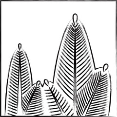 筆書き正方形花札　睦月　松　1月　松のカス