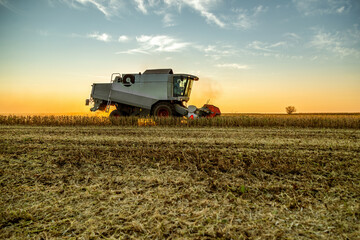 Obraz premium Combine harvester at work in a field during a picturesque sunset