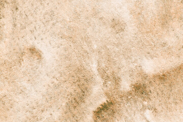 Abstract earthy texture background with natural beige and brown tones for design and art projects.