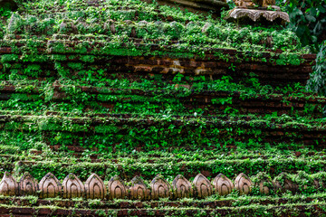 background of the sculpture of the lion carved into the ancient temple, Wat Phalat, on the way up to Doi Suthep,is beautiful and is a tourist attraction that is always popular among travelers from all