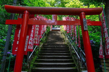 佐助稲荷神社の鳥居
