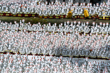 Fototapeta premium 佐助稲荷神社の無数の狐の置物