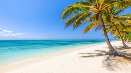 Obraz premium Serene beach scene with palm trees and clear blue waters.