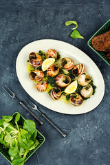 Mediterranean escargot delicacy snails.