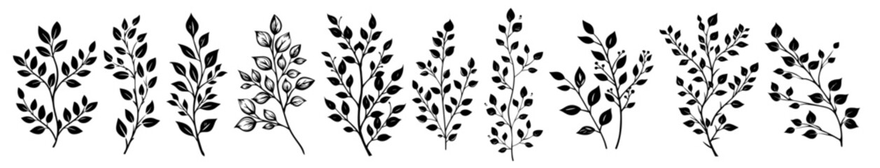 decorative botanical leaf silhouettes in minimalist style – black vector