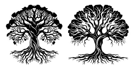 set of intricate tree silhouettes with dense roots in black vector