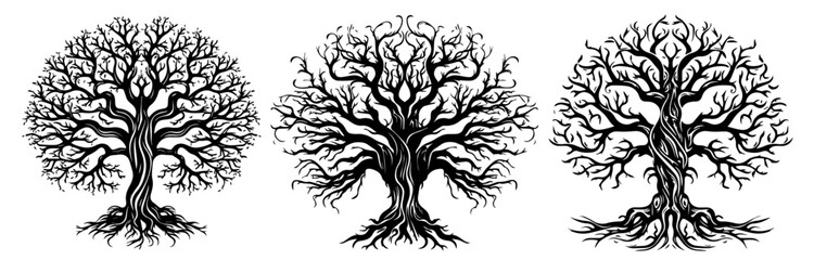detailed tree designs with bare branches - black vector collection