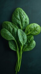 Fototapeta premium Fresh spinach leaves on a dark background, showcasing vibrant green colors and natural textures. Perfect for health and cooking themes.
