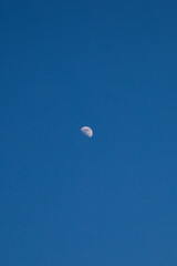 Crescent moon in clear sky