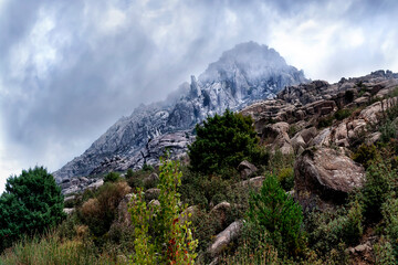 Niebla en la Sierra de La Cabrera