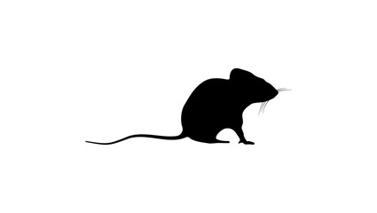 House mouse, black isolated silhouette