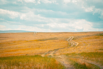 Fototapeta premium Mountain panorama of beautiful valley in Altai mountains. Altai Mountain range, North Altai, Gorny Altai republic, Russia.