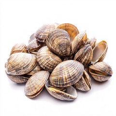 A pile of fresh clams with ridged shells, showcasing their natural, earthy tones. Ideal for seafood dishes or culinary presentations.