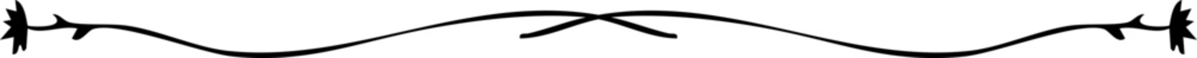 Swirl line divider, doodle decorative fancy ornament border, simple hand drawn frame. Retro curve set flourish thin decorations.