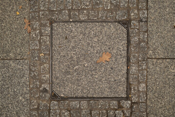 manhole cover in the street	
