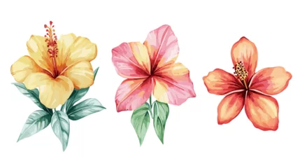 Fototapeten Bright tropical flowers isolated on white background. Botanical painting, watercolor illustrations yellow flower branch © The Illustraitor