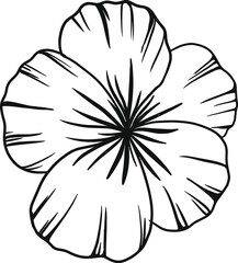 black and white sketch of a flower. hibicus flower handrawn line vector. wedding decor, botanical, herb, tropical