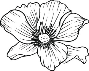 Obraz premium sketch of a flower. flower handrawn line vector. wedding decor, botanical, herb, tropical