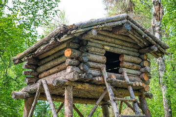 A close up shot of an old wooden tree house, with a wooden ladder that leads up to the entrance, in a green forest in Alaska.