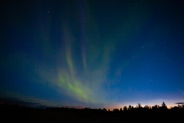 Fototapeta premium Aurora Borealis Over Forest