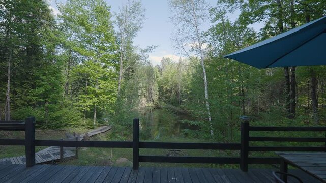 front door view coming out of cabin overlooking forest and lake