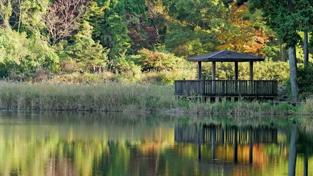 Lake in the forest, scenery reflected on the surface of the water