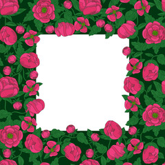 Frame woven from pink peonies. Floral frame. Vector floral illustrations of buds, leaves. Flat style drawing. Vector illustration.