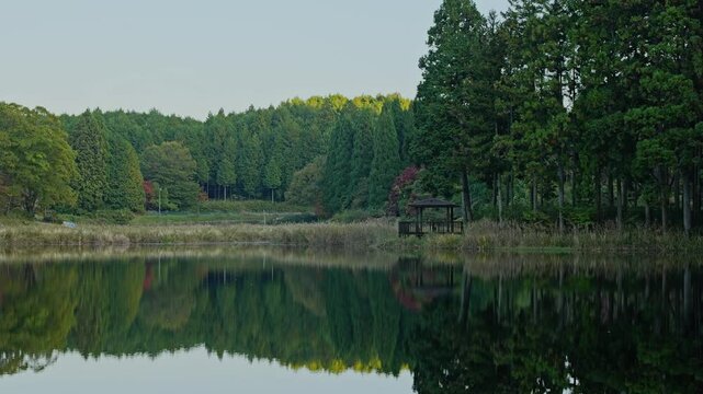 Lake in the forest, scenery reflected on the surface of the water