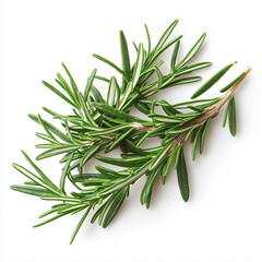 Fresh rosemary sprigs on a white background, showcasing its aromatic leaves, often used in cooking and herbal remedies.