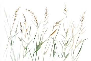 Watercolor Grass Elements for Nature-Inspired Design and Posters