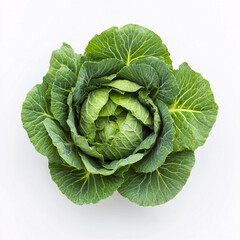 Obraz premium A fresh green cabbage with tightly packed leaves sits against a light background, showcasing its vibrant color and crisp texture.