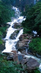 Fototapeta premium waterfall in the forest