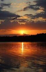 Orange sunset over the lake, beautiful abstract nature background, landscape, bright sky, spring warm evening, bright colors of spring, water, reflection, sun rays, fiery sunset, inspiration, horizon