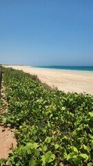 Cable Beach in Broome, Western Australia