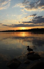 Naklejka premium Orange sunset over the lake, beautiful abstract nature background, landscape, bright sky, spring warm evening, bright colors of spring, water, reflection, walk in the park, sun rays