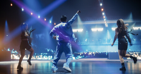 Pop Music Artist Performing on Stage in Front of a Sold-Out Audience. Popular Male Musician is...