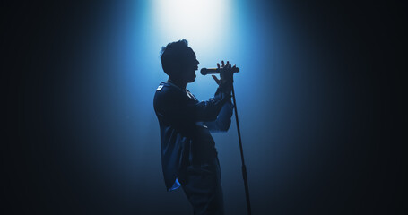Portrait of a Handsome Young Man Singing a Song at a Music Contest. Cinematic Spotlight Creates a...