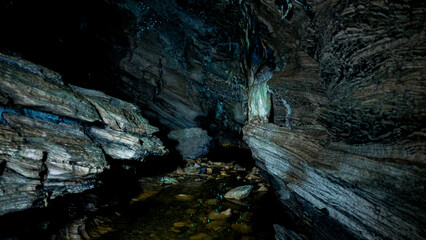 Glow worms in Waipu caves, New Zelanad