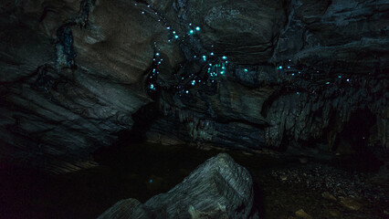 Glow worms in Waipu caves, New Zelanad